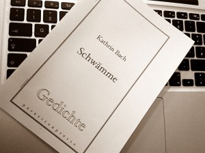 Schwämme, Kathrin Bach